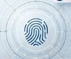 Identity and access management visualization